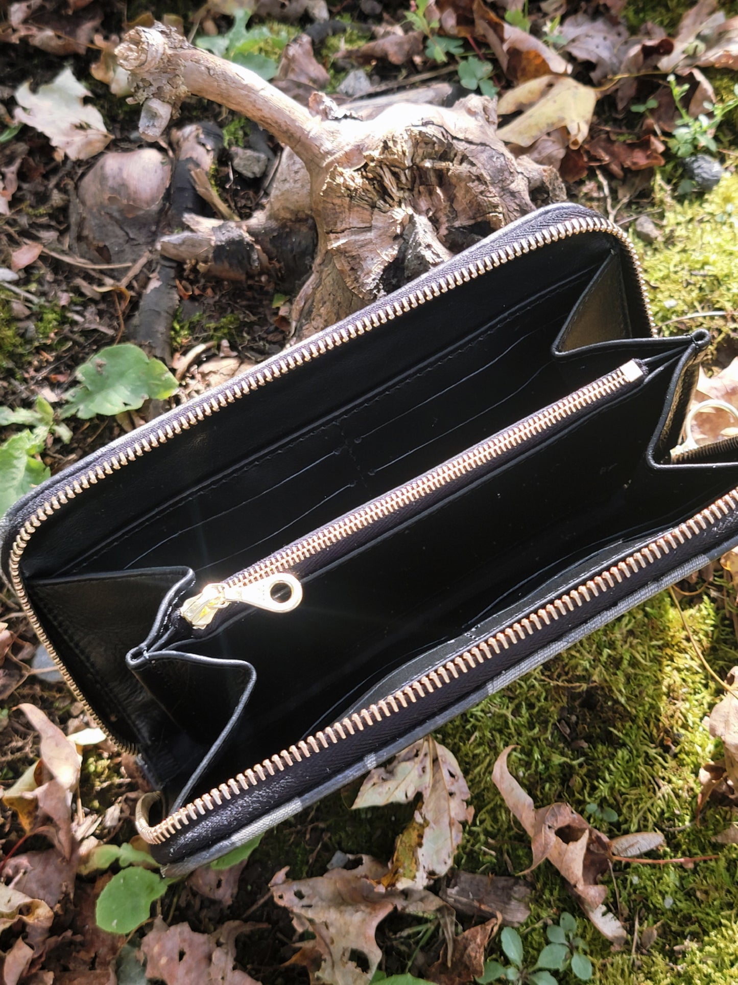 Agonie Zipper Wallet